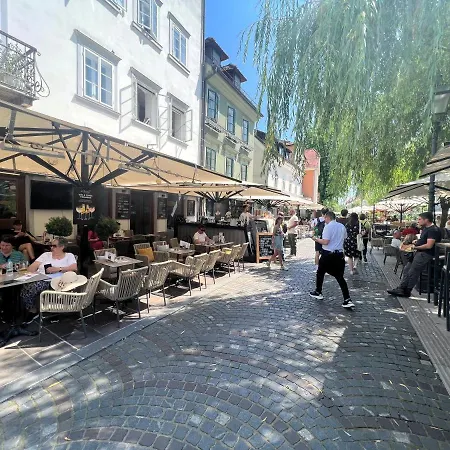 Lägenhet Divine Nest *